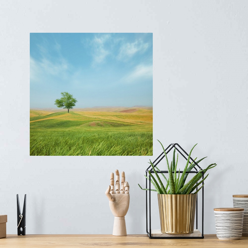 A bohemian room featuring Peaceful country landscape wit ha single tree under a blue sky.