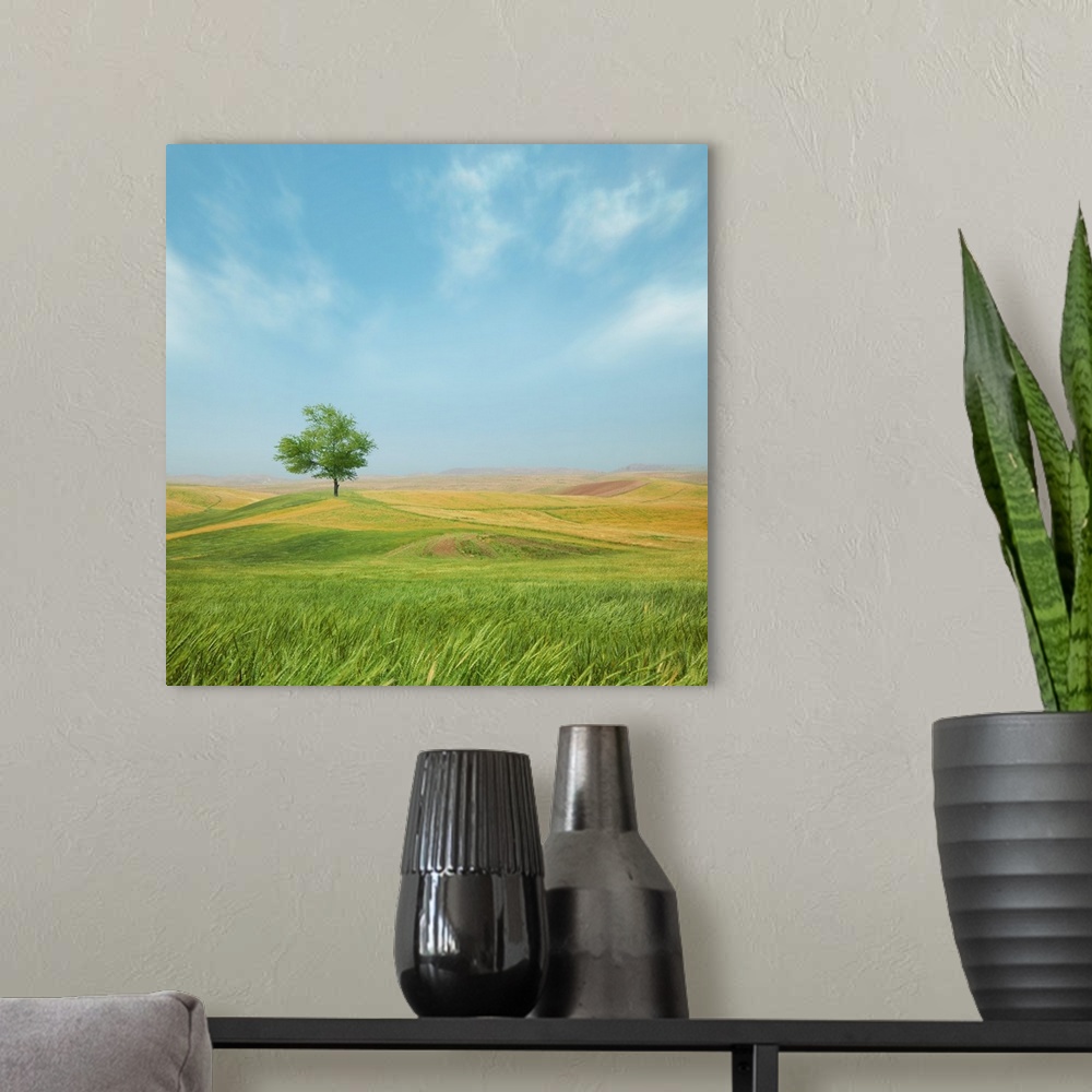 A modern room featuring Peaceful country landscape wit ha single tree under a blue sky.