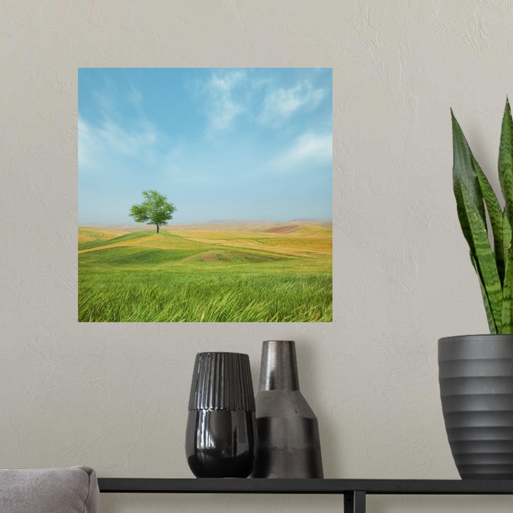 A modern room featuring Peaceful country landscape wit ha single tree under a blue sky.