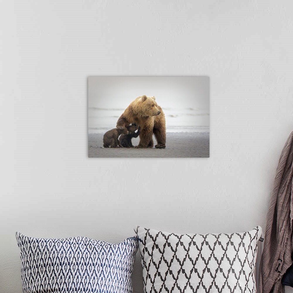 A bohemian room featuring Photograph of a mother bear nursing two cubs on a sandy shore.