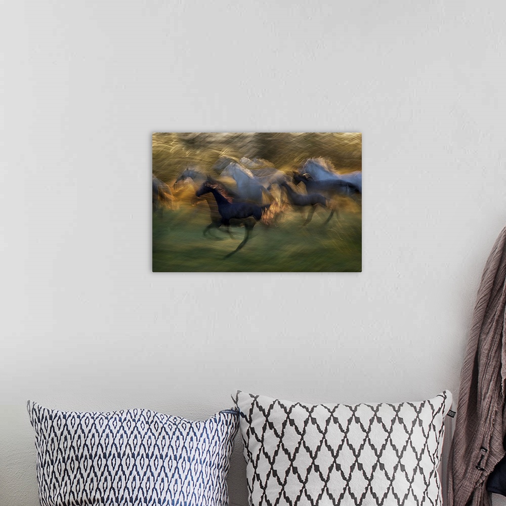 A bohemian room featuring A motion blurred photograph of a herd of wild horses galloping.