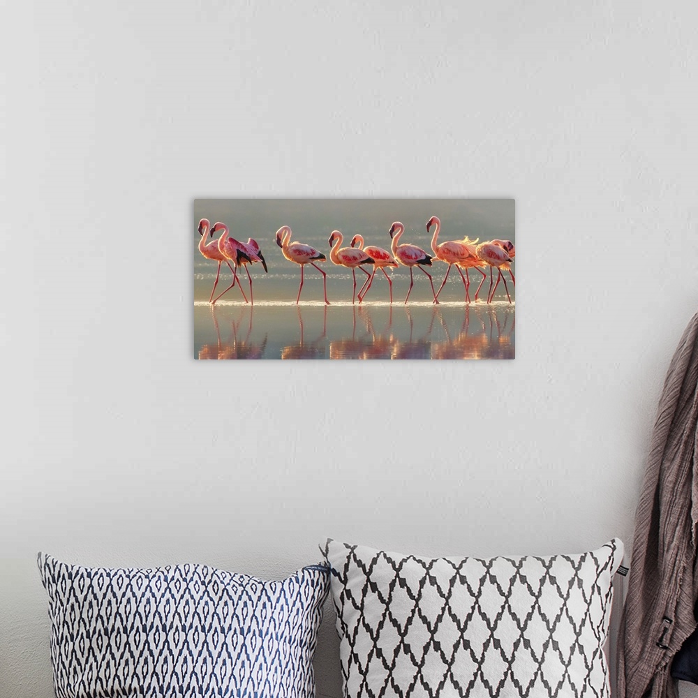 A bohemian room featuring Wildlife photograph of a flock of pink flamingo walking through water with their reflections below.