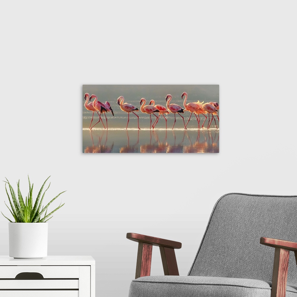 A modern room featuring Wildlife photograph of a flock of pink flamingo walking through water with their reflections below.