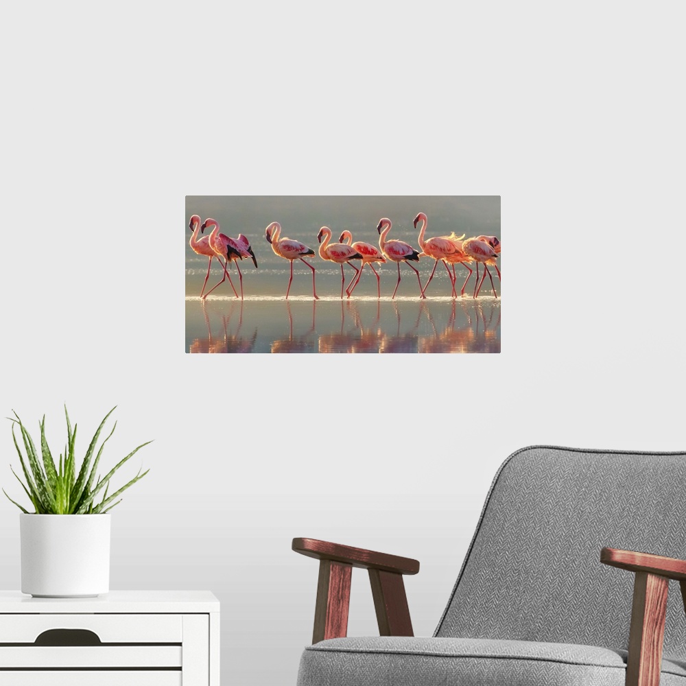 A modern room featuring Wildlife photograph of a flock of pink flamingo walking through water with their reflections below.