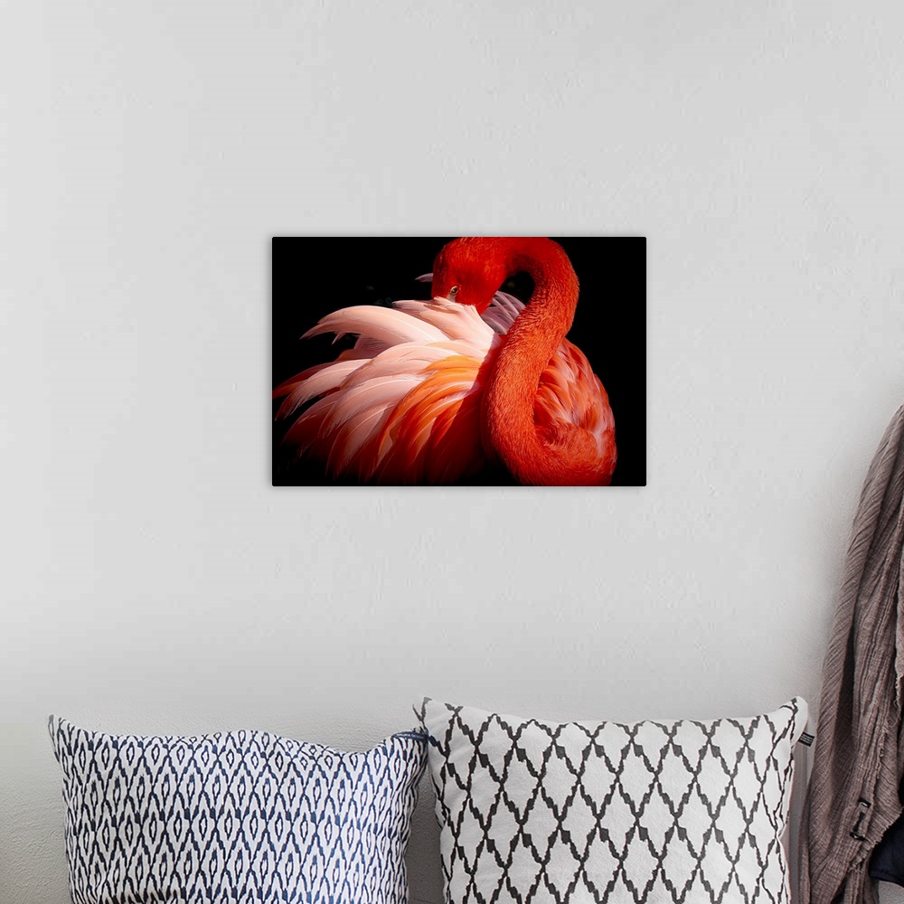 A bohemian room featuring Flamingo