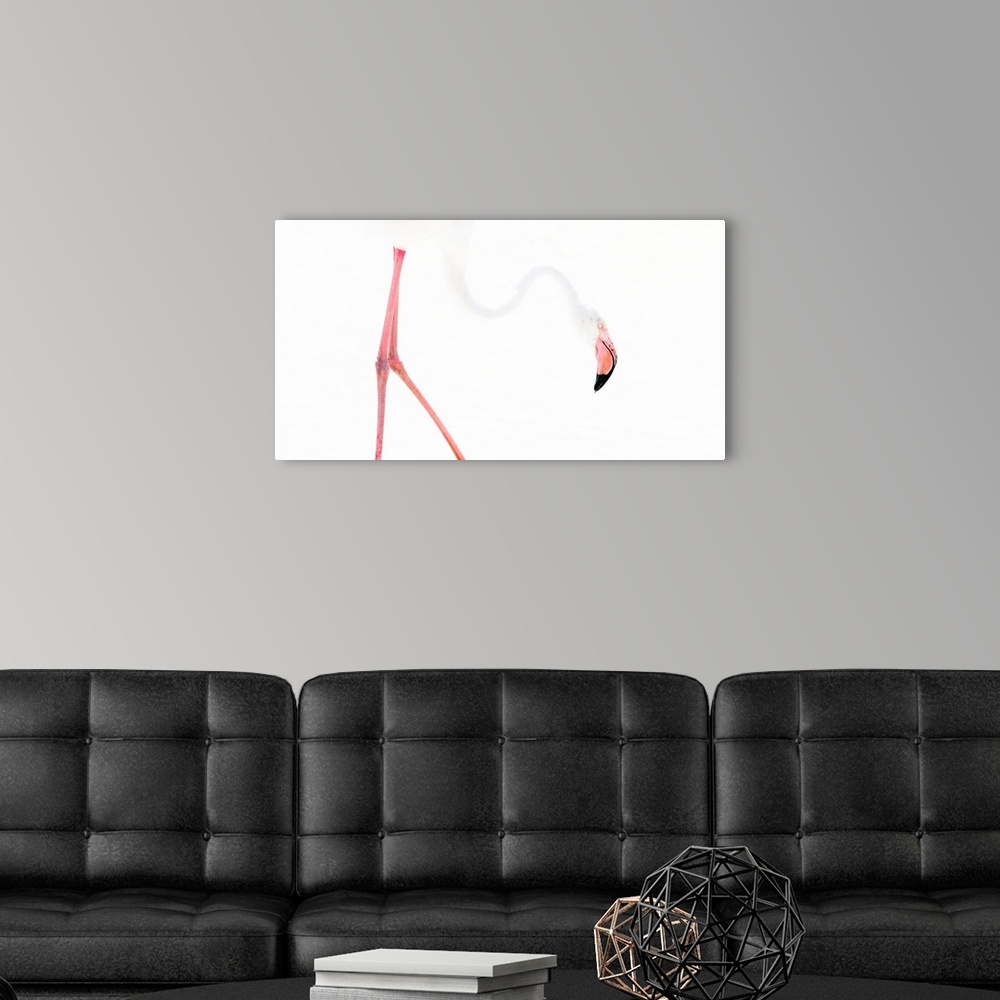 A modern room featuring Flamingo Graphics