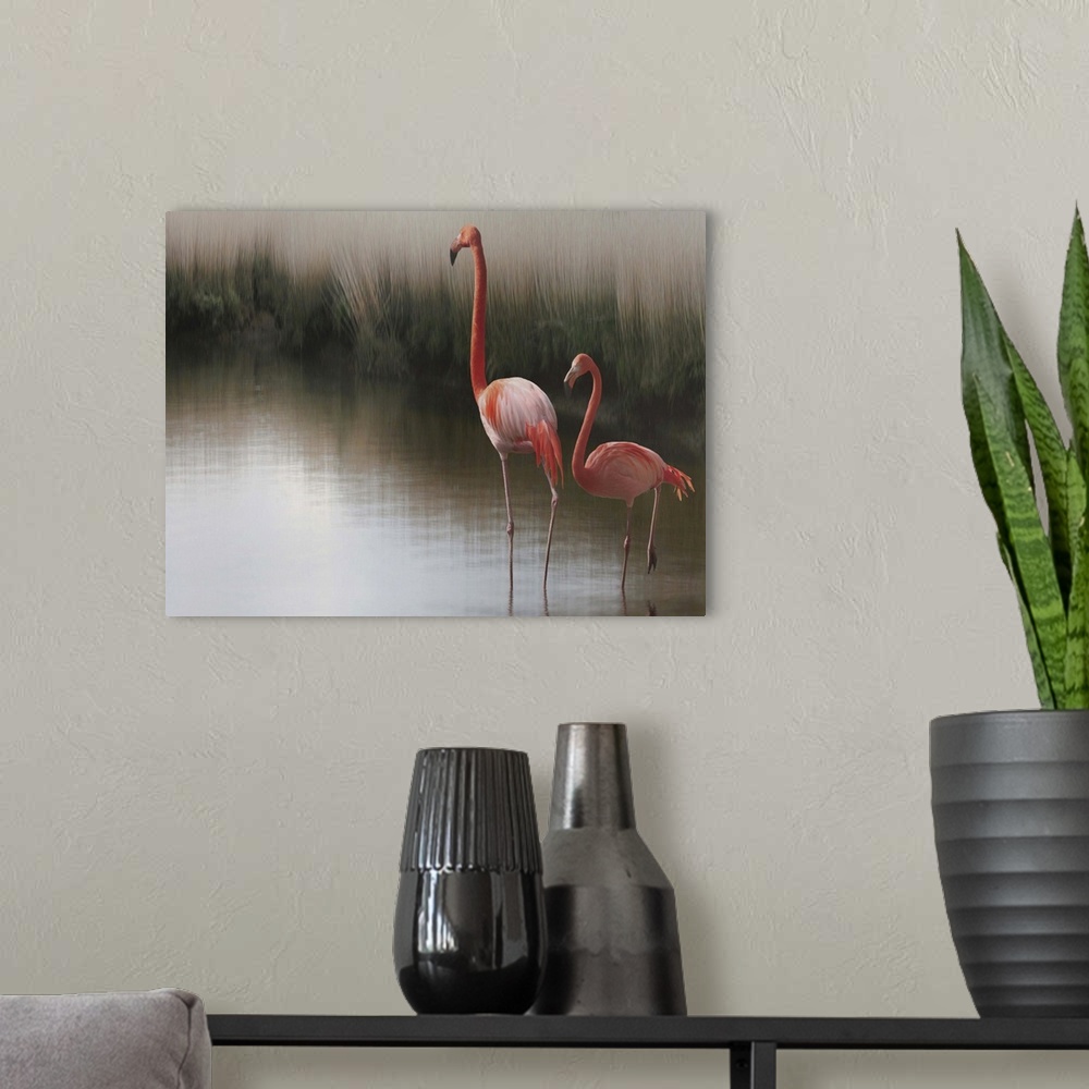 A modern room featuring Portrait of two American Flamingos standing in shallow water.