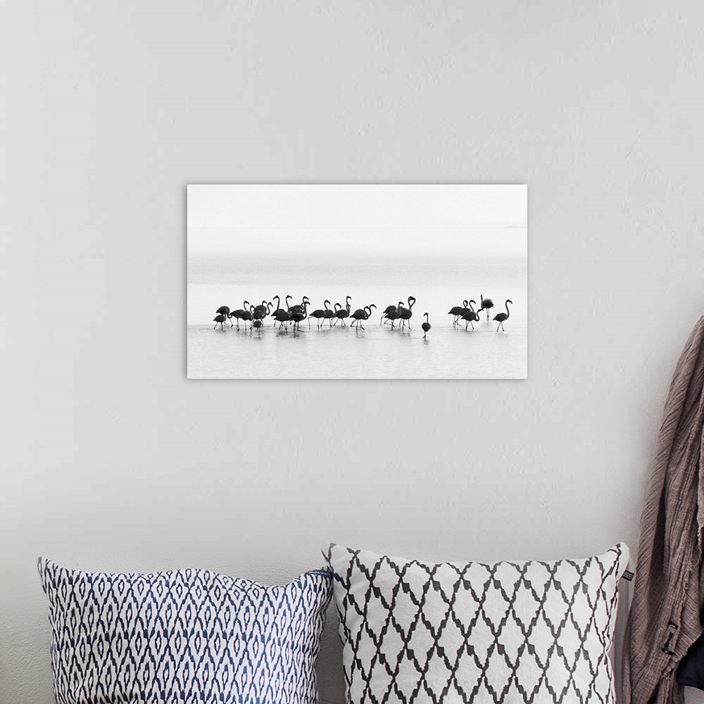 A bohemian room featuring A black and white photograph of flamingos standing around in water.
