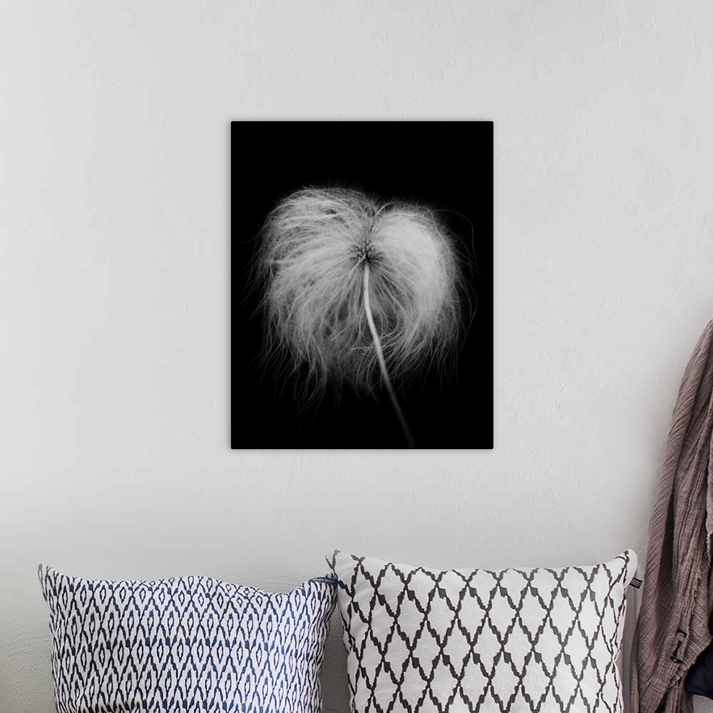 A bohemian room featuring Fluffy Seed Head