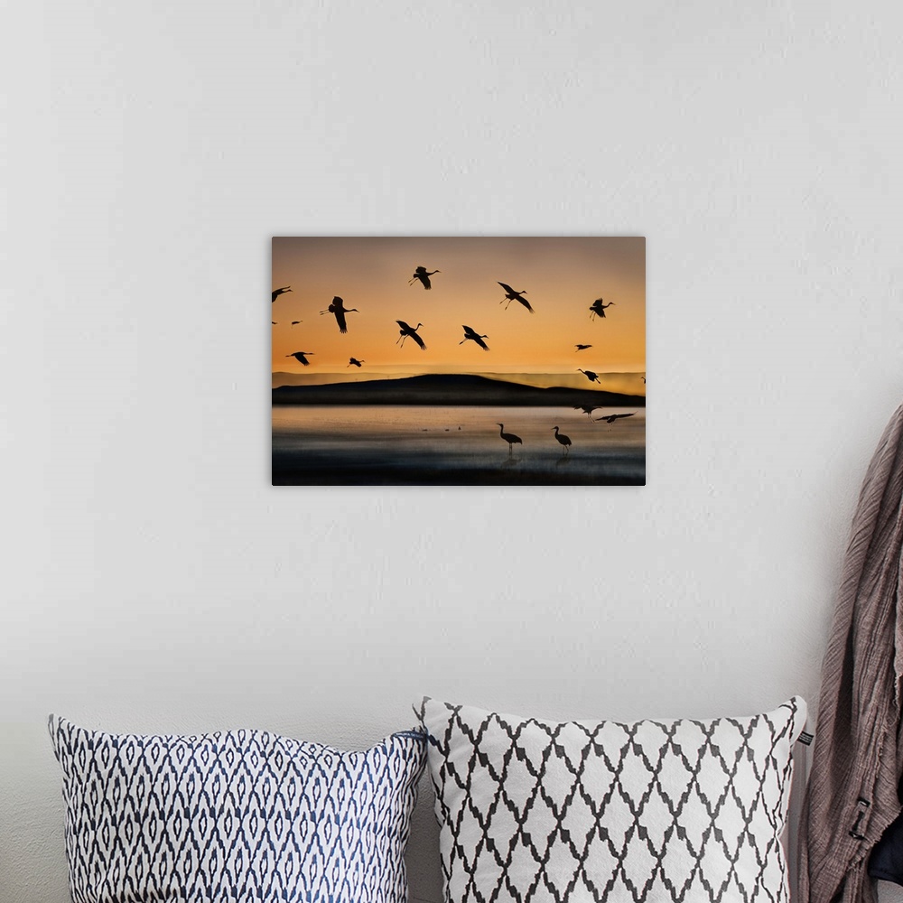 A bohemian room featuring Silhouette of birds flying at sunset.