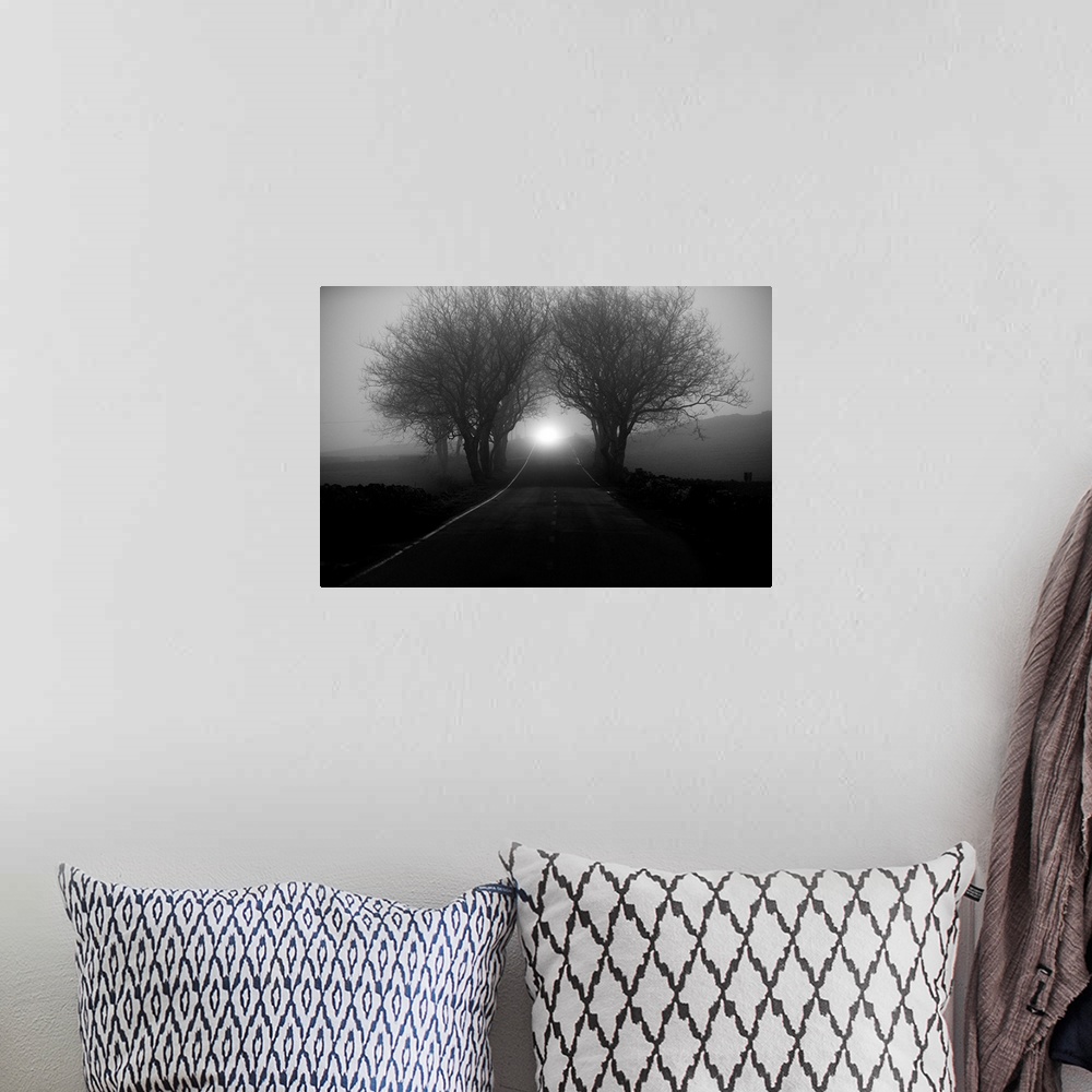 A bohemian room featuring A countryside road narrowing in the distance through fog shrouded trees.