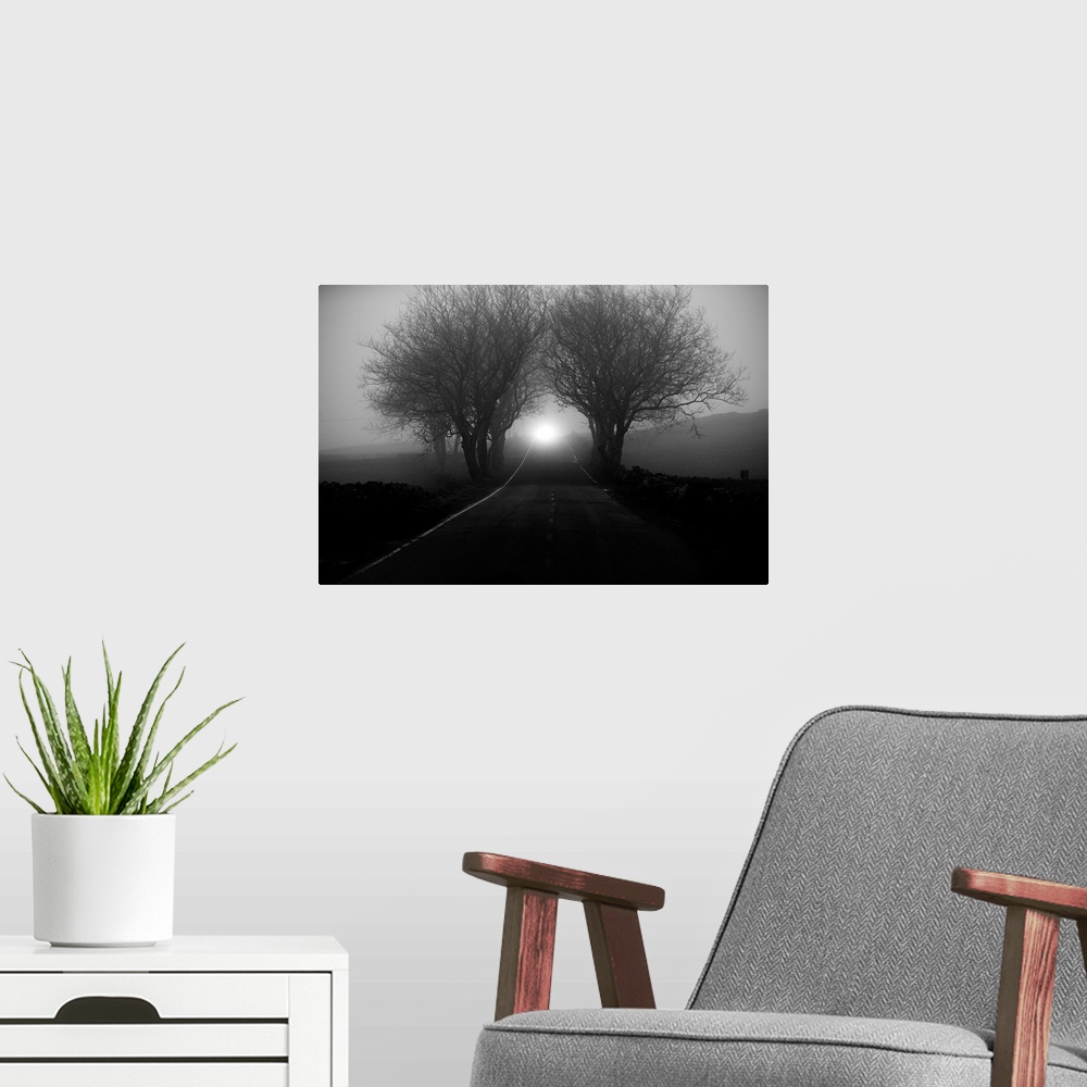A modern room featuring A countryside road narrowing in the distance through fog shrouded trees.