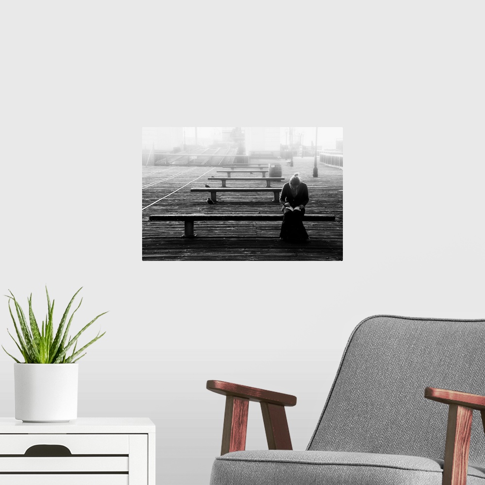 A modern room featuring A woman reading on a bench on a pier with seagulls in the mist.