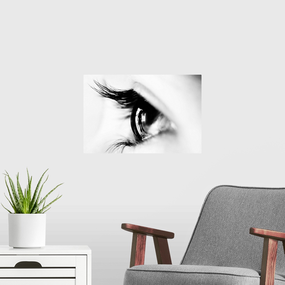 A modern room featuring Close up image of a human eye with thick eyelashes.