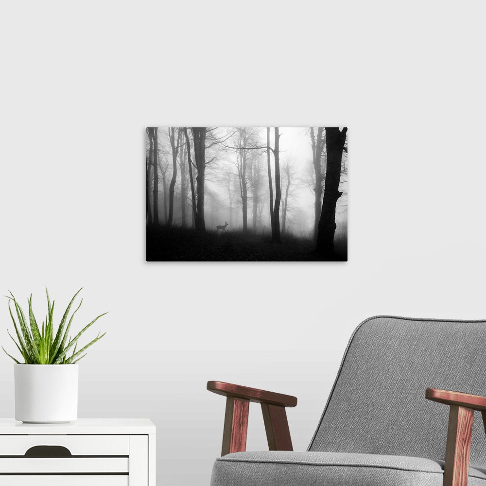 A modern room featuring Forest