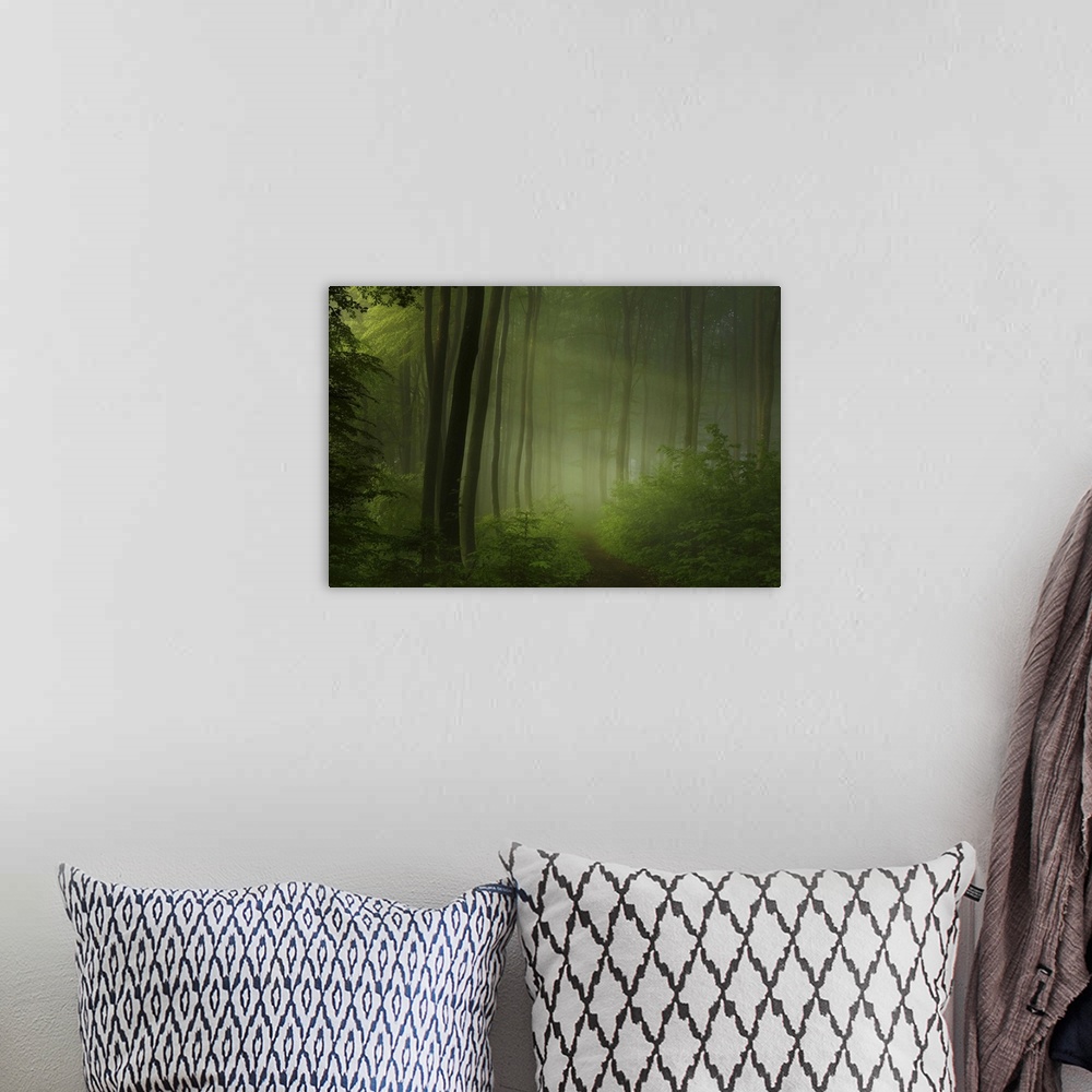 A bohemian room featuring A path through a forest full of ferns, with beams of sunlight shining through the mist.