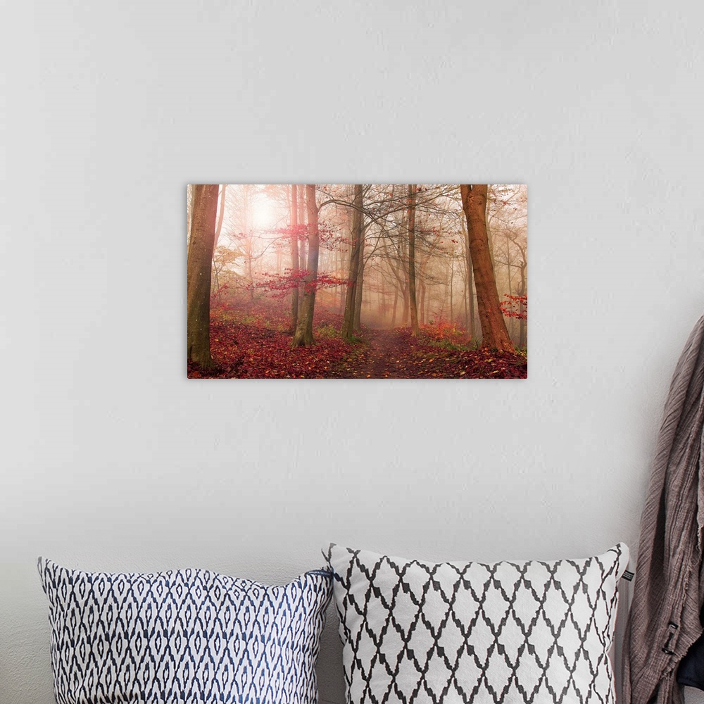 A bohemian room featuring Forest Scene