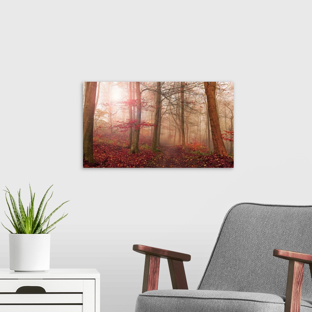 A modern room featuring Forest Scene