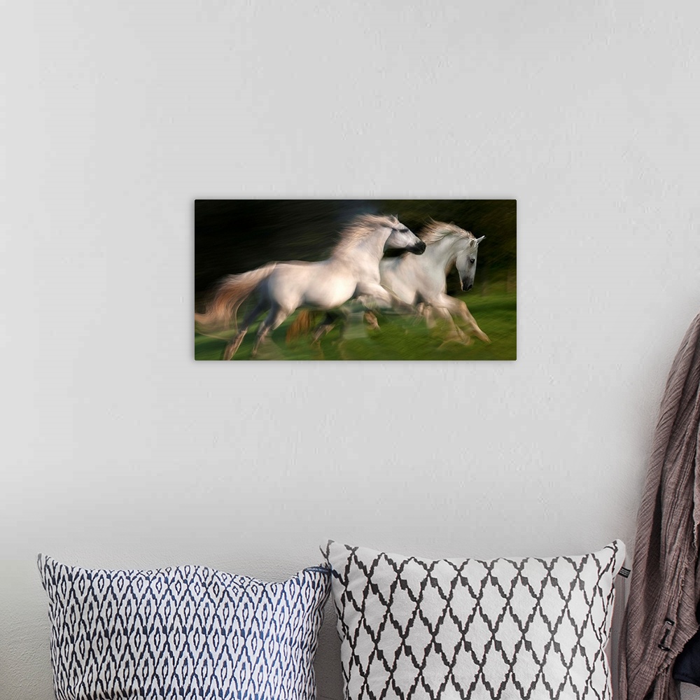A bohemian room featuring Motion blurred photograph of wild horses galloping side by side.