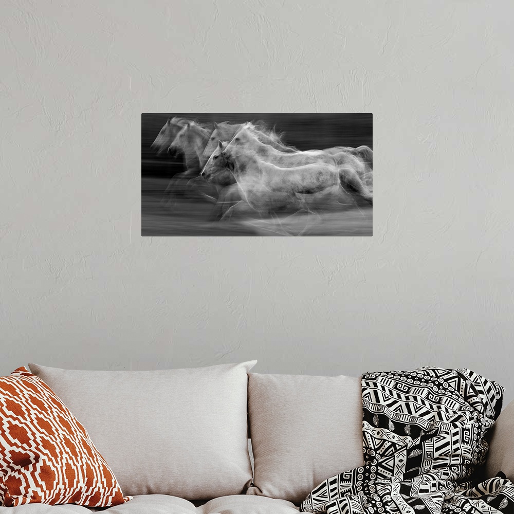 A bohemian room featuring Galloping horses in a blur of multiple exposures.