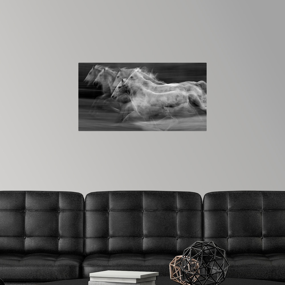 A modern room featuring Galloping horses in a blur of multiple exposures.