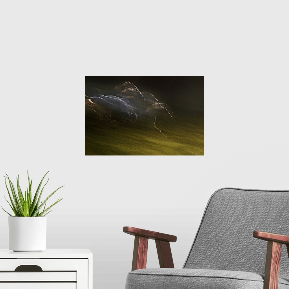 A modern room featuring Blurred motion image of galloping horses in a field, creating an abstract image.