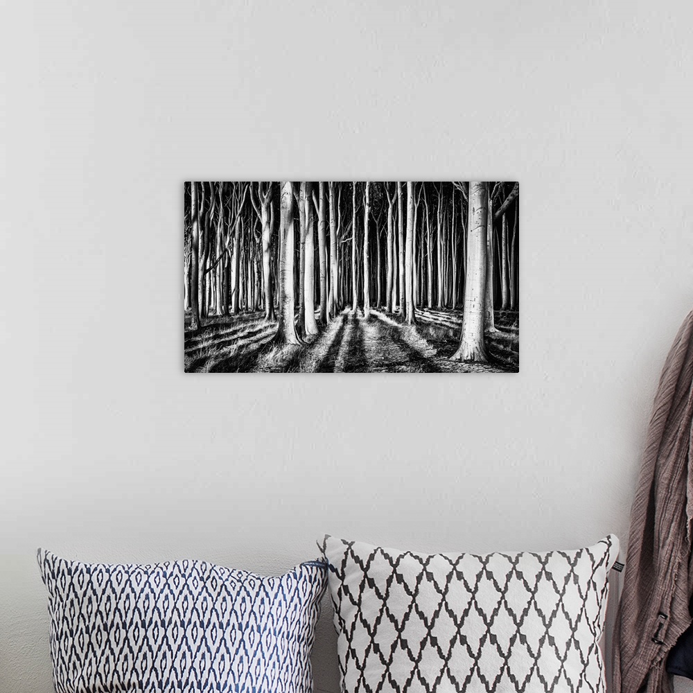A bohemian room featuring High contrast image of a forest of sturdy trees, resembling columns.
