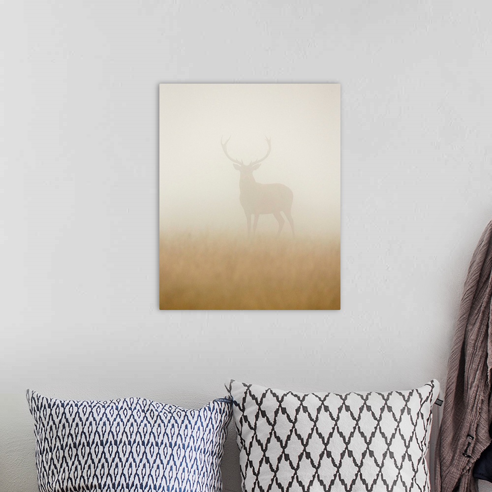 A bohemian room featuring A portrait of a stag standing still in a thick haze.