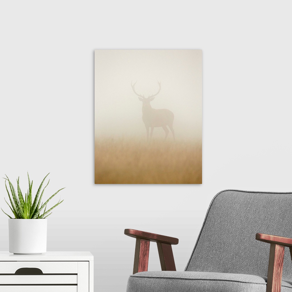 A modern room featuring A portrait of a stag standing still in a thick haze.