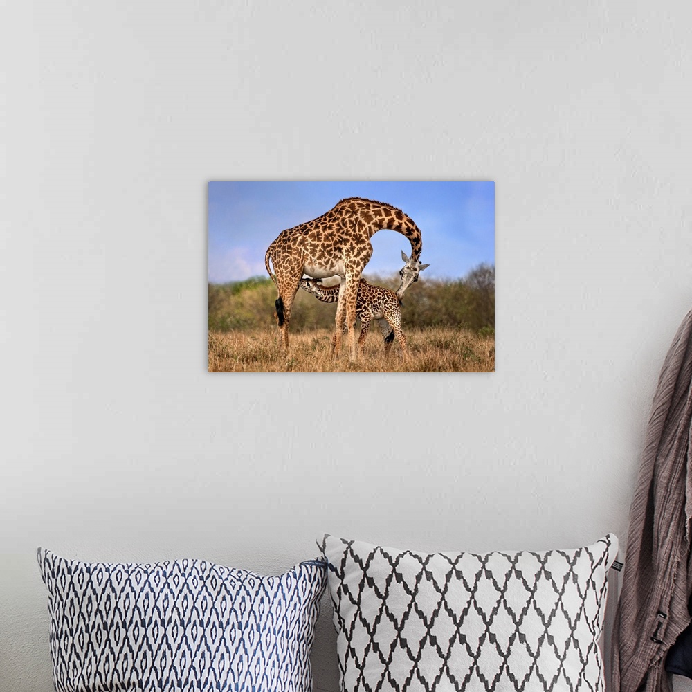 A bohemian room featuring Giraffe With Cup