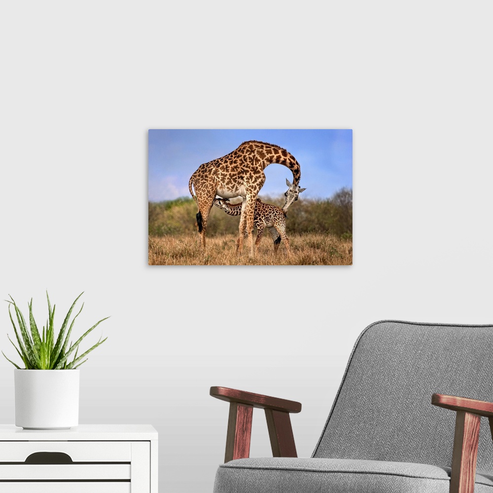 A modern room featuring Giraffe With Cup