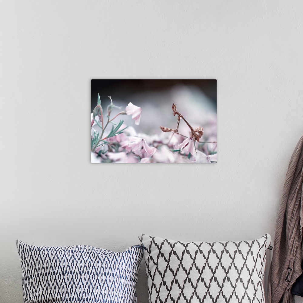 A bohemian room featuring A mantis walking among pastel pink flowers.