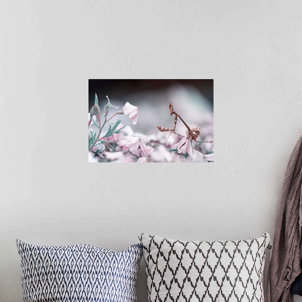 A bohemian room featuring A mantis walking among pastel pink flowers.