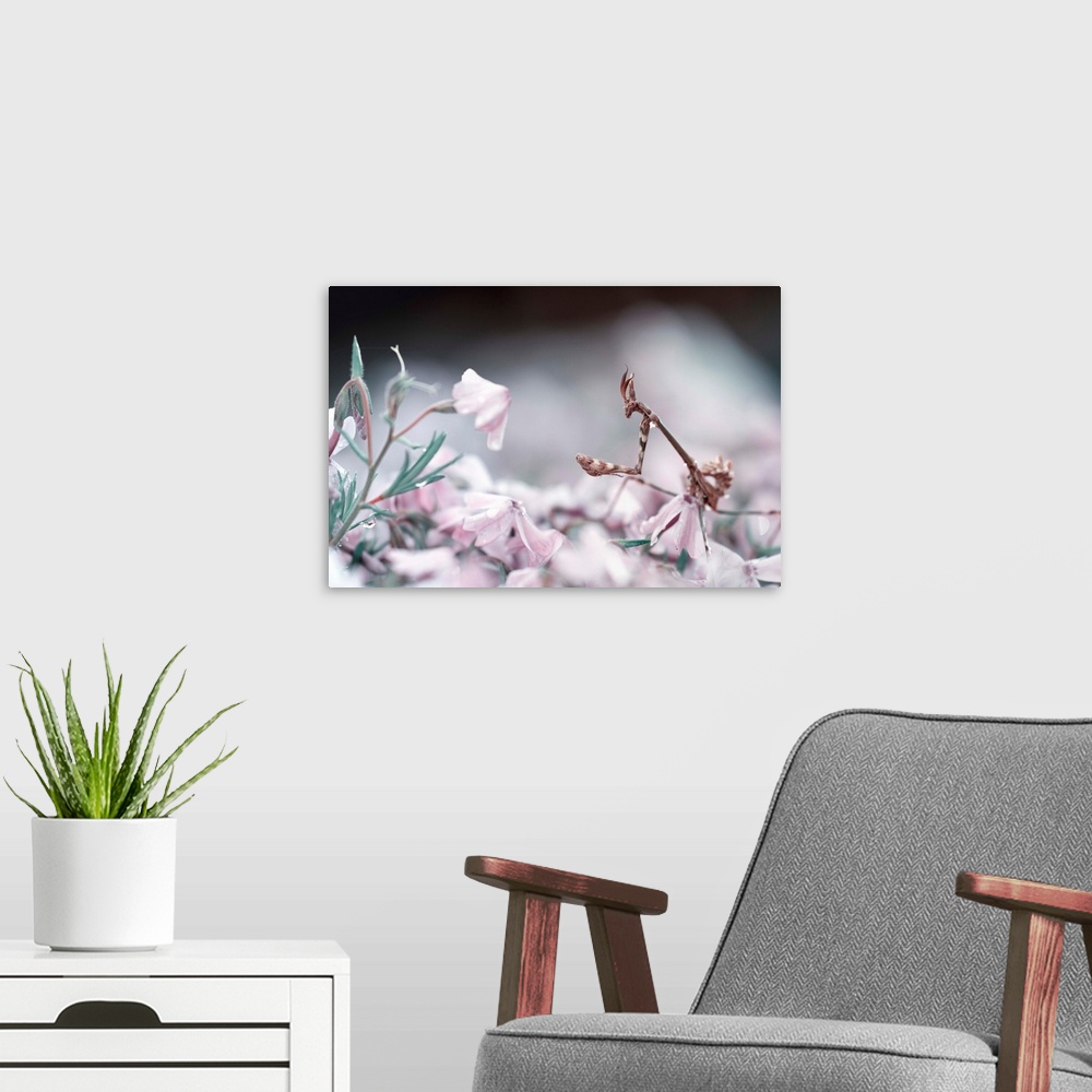 A modern room featuring A mantis walking among pastel pink flowers.