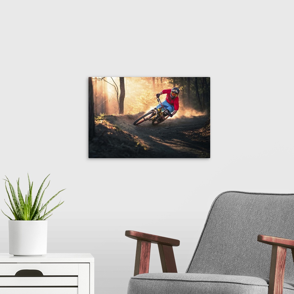 A modern room featuring A mountain biker rounding a corner on a forest path.