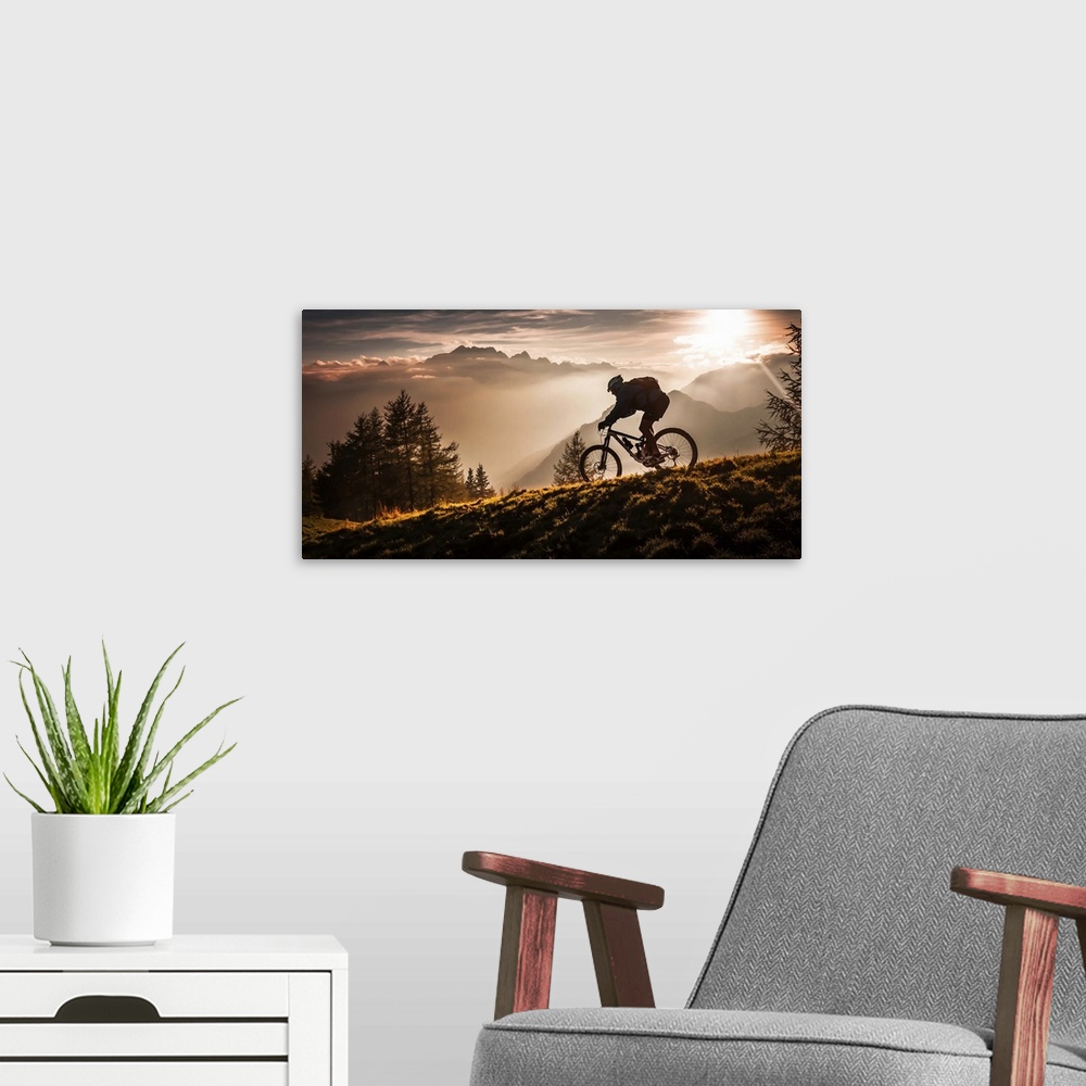 A modern room featuring A silhouetted mountain bike rider seen in the early morning light.