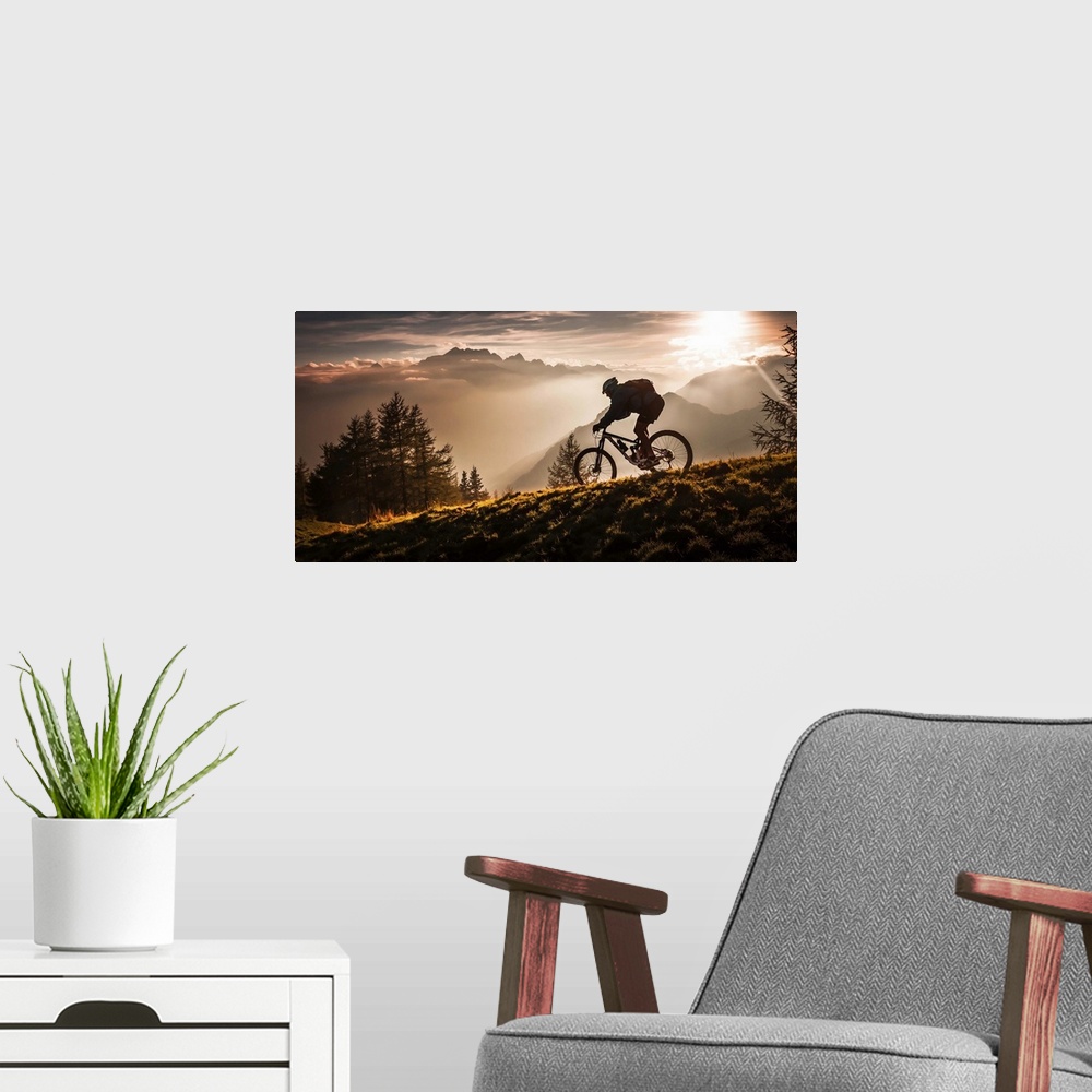 A modern room featuring A silhouetted mountain bike rider seen in the early morning light.