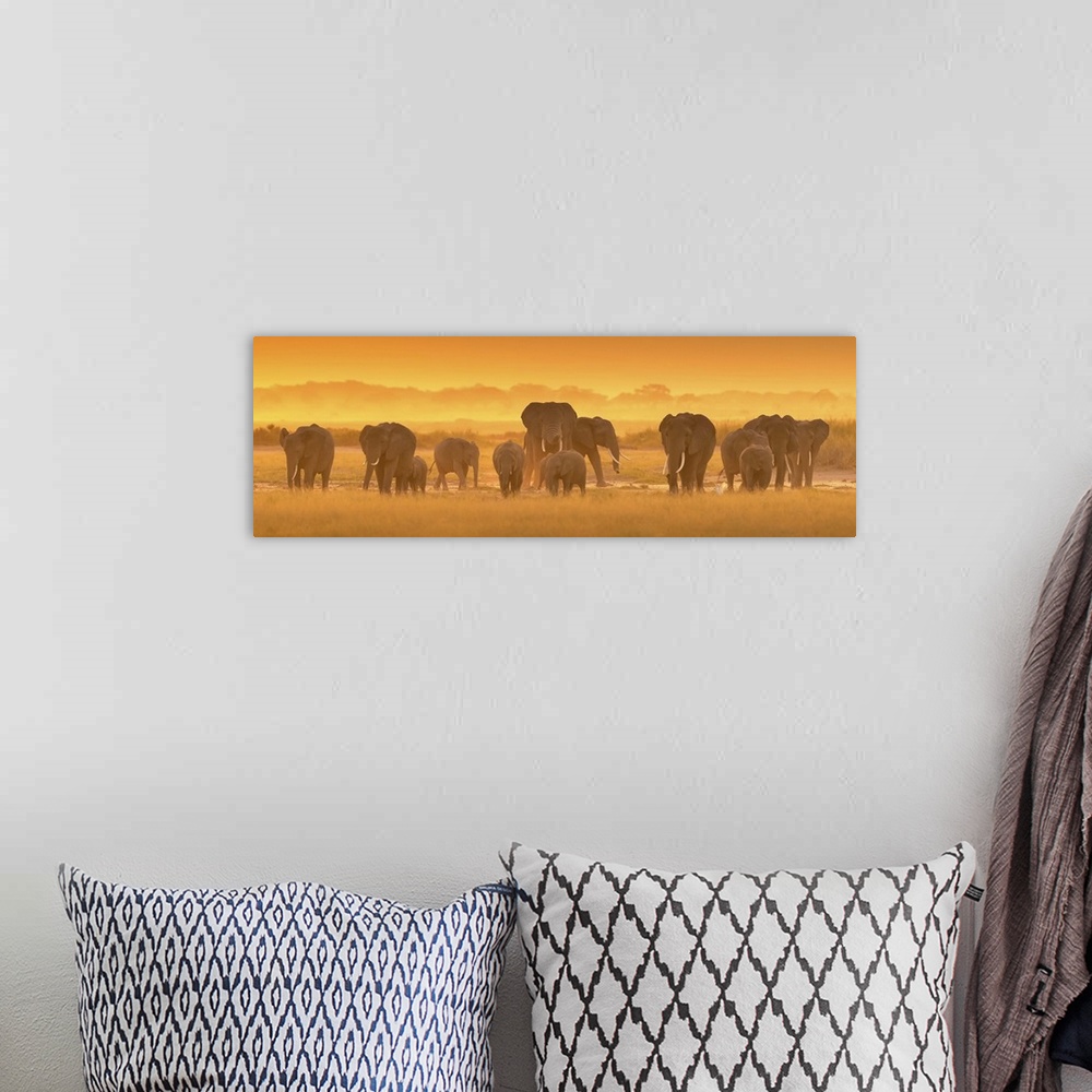 A bohemian room featuring A photograph of a herd of African elephants on the Savannah seen from behind.