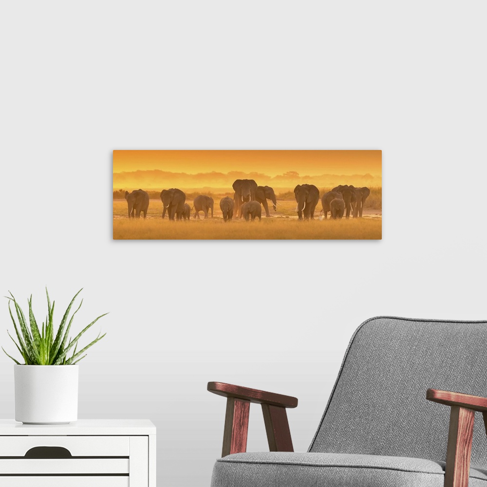 A modern room featuring A photograph of a herd of African elephants on the Savannah seen from behind.