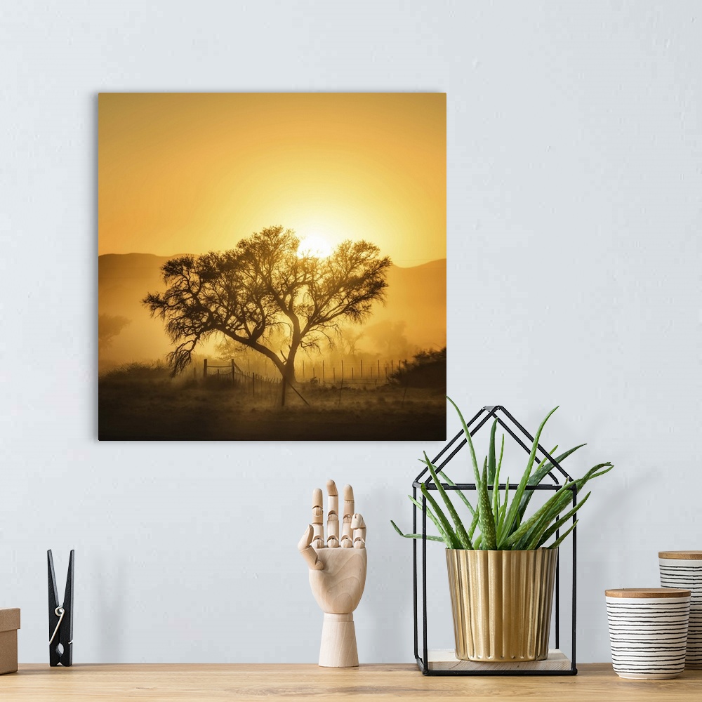 A bohemian room featuring Countryside sunrise casting a tree in silhouette and laying fog down all over the ground.