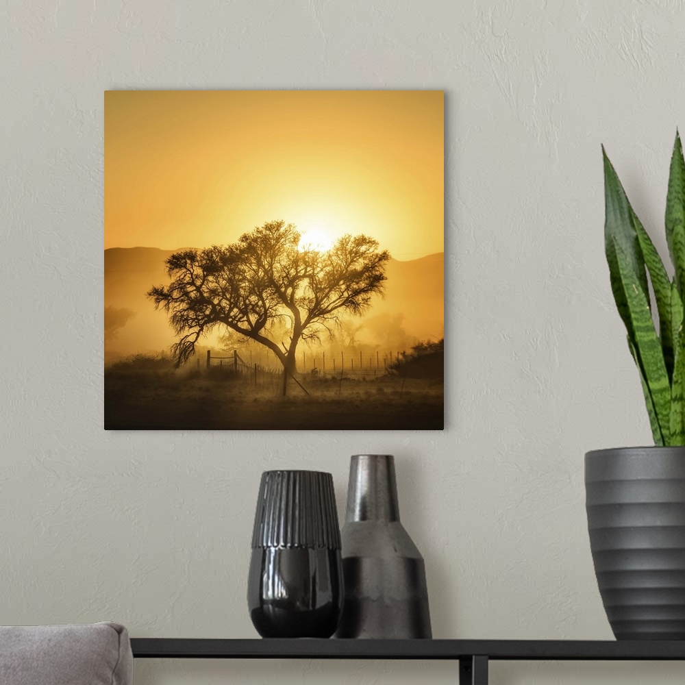 A modern room featuring Countryside sunrise casting a tree in silhouette and laying fog down all over the ground.