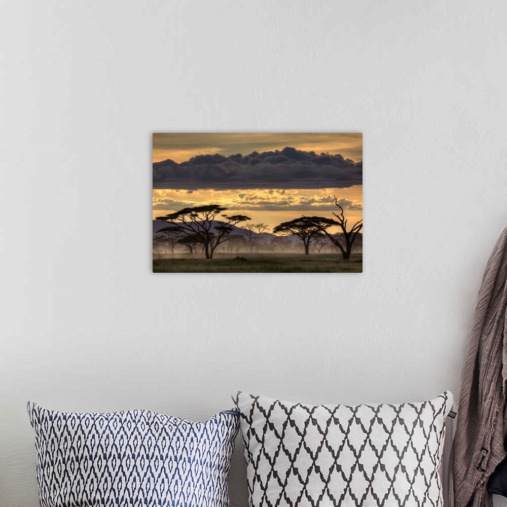 A bohemian room featuring Dusk falls over Tanzania, casting tree in silhouette.