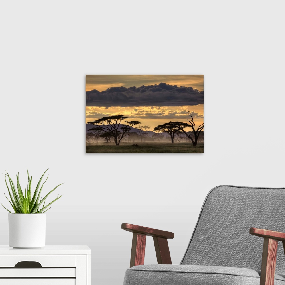 A modern room featuring Dusk falls over Tanzania, casting tree in silhouette.