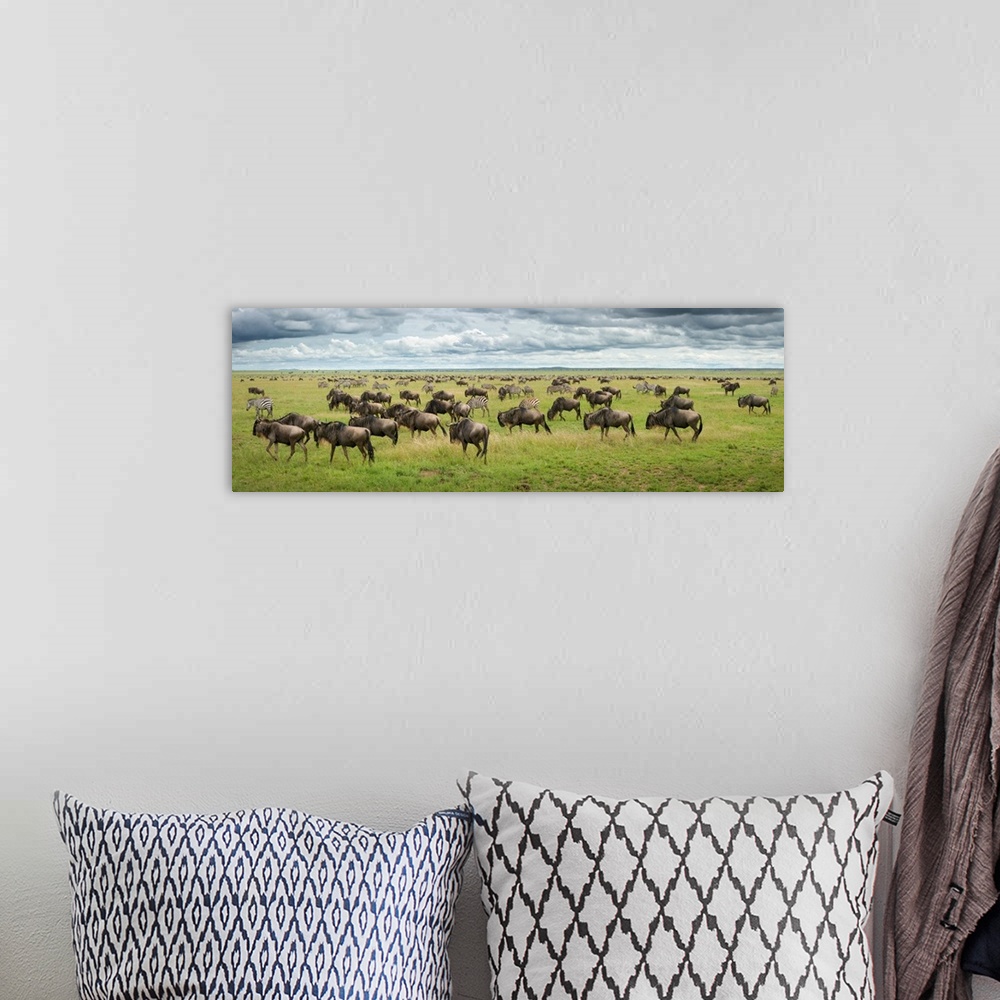 A bohemian room featuring Great Migration In Serengeti Plains