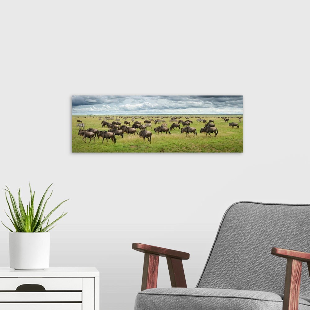 A modern room featuring Great Migration In Serengeti Plains