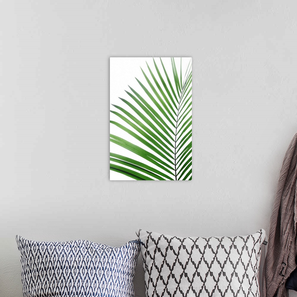 A bohemian room featuring Green Palm Leaf