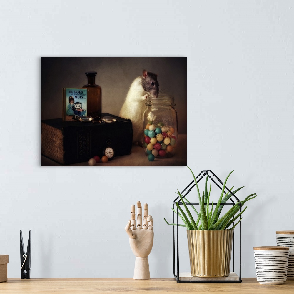 A bohemian room featuring A conceptual photograph of a rat sitting with a jar of colorful gumballs.