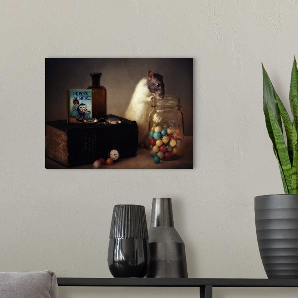A modern room featuring A conceptual photograph of a rat sitting with a jar of colorful gumballs.