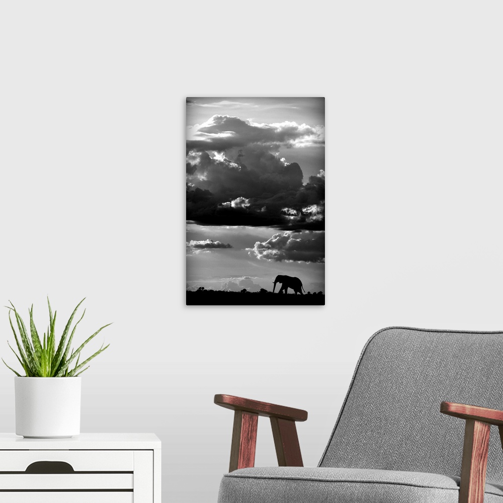 A modern room featuring A black and white photograph of an elephant walking along the Savannah under dramatic clouds.