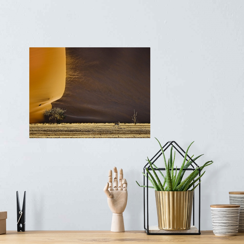 A bohemian room featuring An antelope appears tiny in front of the massive sand dunes in the desert.